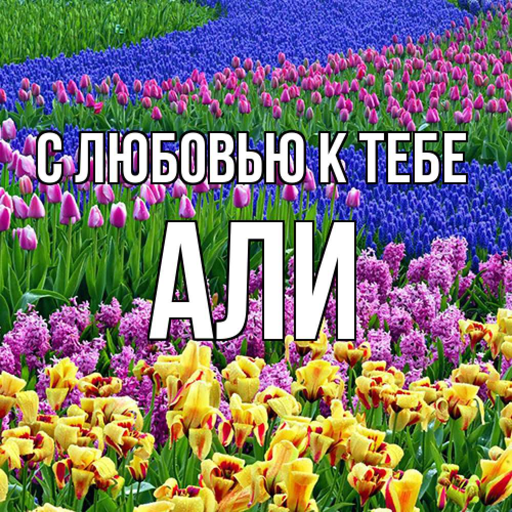 Открытка  с именем. Али, С любовью к тебе  