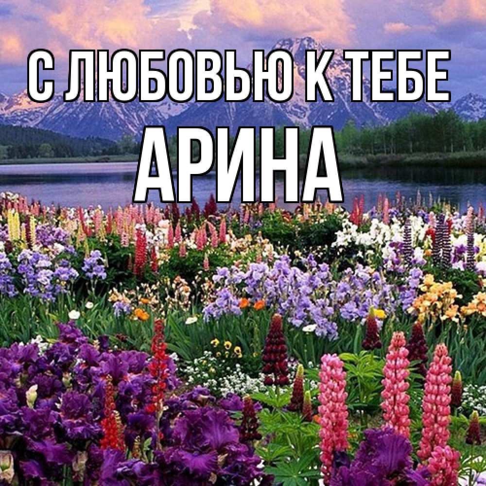Открытка  с именем. Арина, С любовью к тебе  
