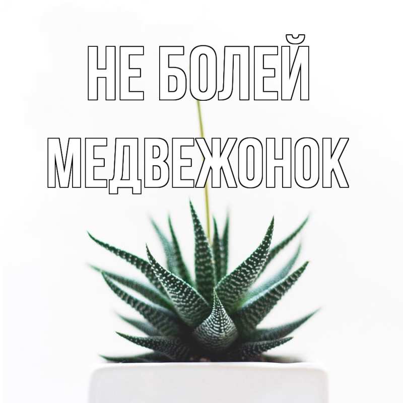 Картинка Не болей, Медвежонок