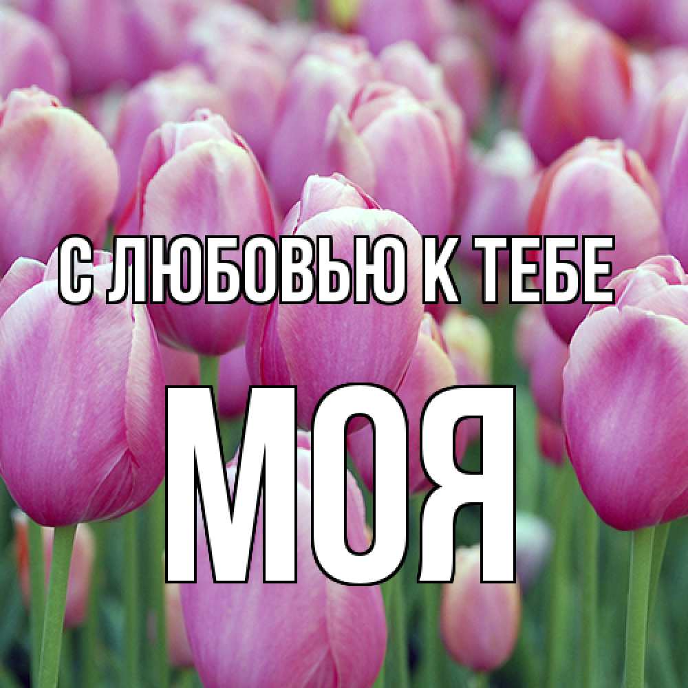 Открытка  с именем. Моя, С любовью к тебе  