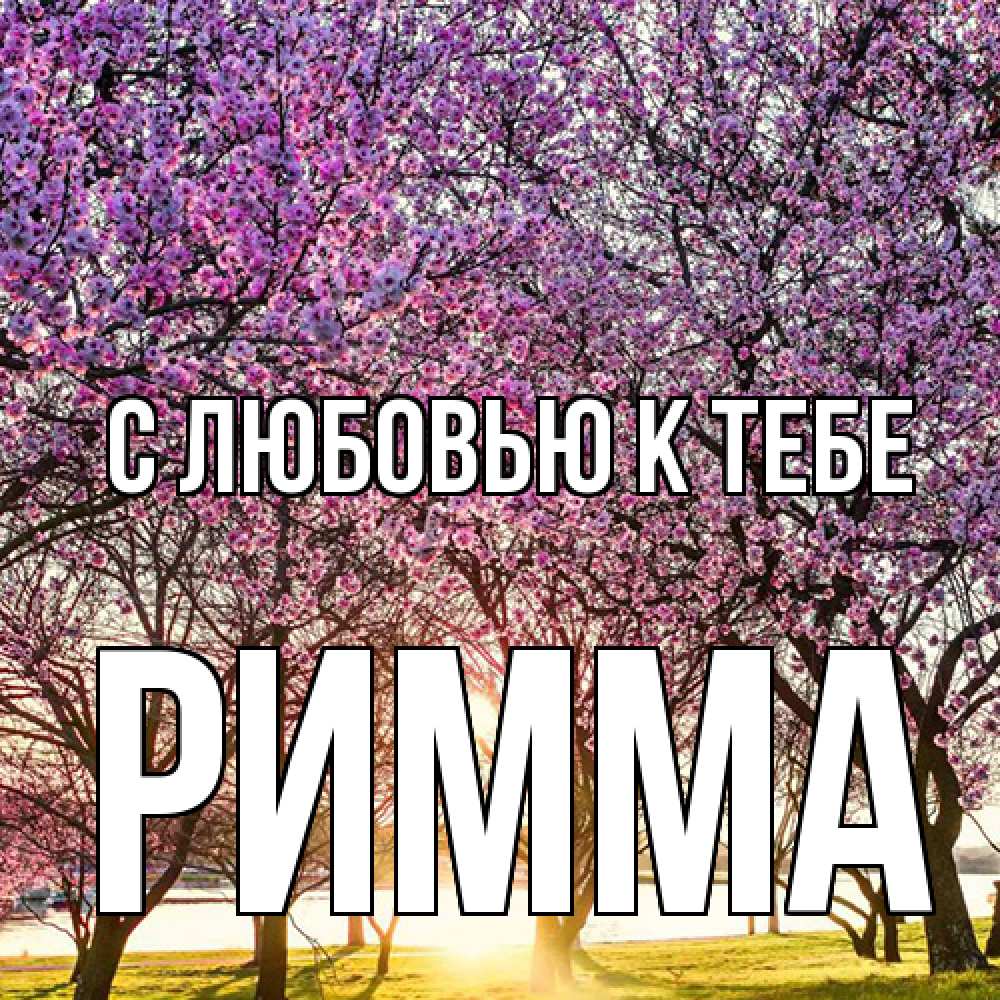 Открытка  с именем. Римма, С любовью к тебе  