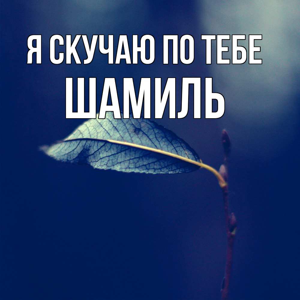 Открытка  с именем. Шамиль, Я скучаю по тебе  