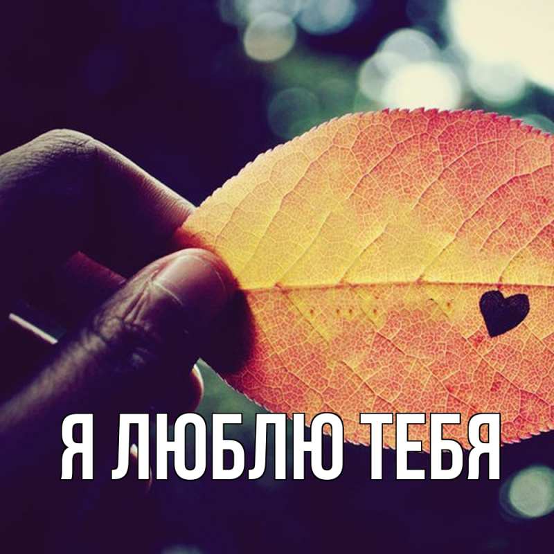 Картинка Я люблю тебя, 