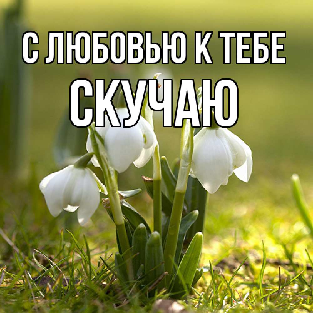 Открытка  с именем. Скучаю, С любовью к тебе  