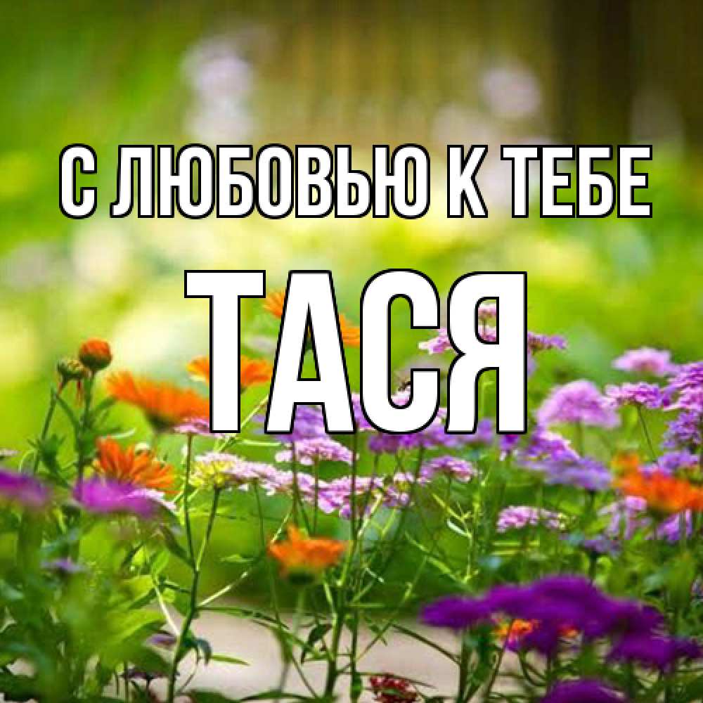 Открытка  с именем. Тася, С любовью к тебе  