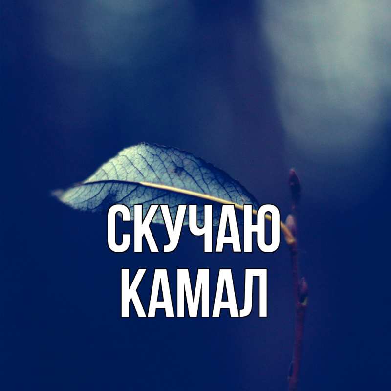 Картинка Скучаю, Камал