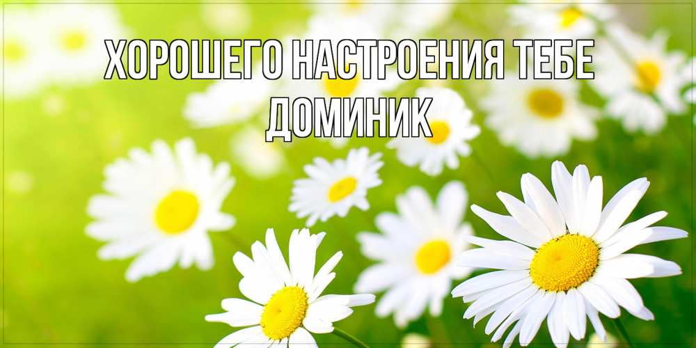 Открытка  с именем. Доминик, Хорошего настроения тебе  