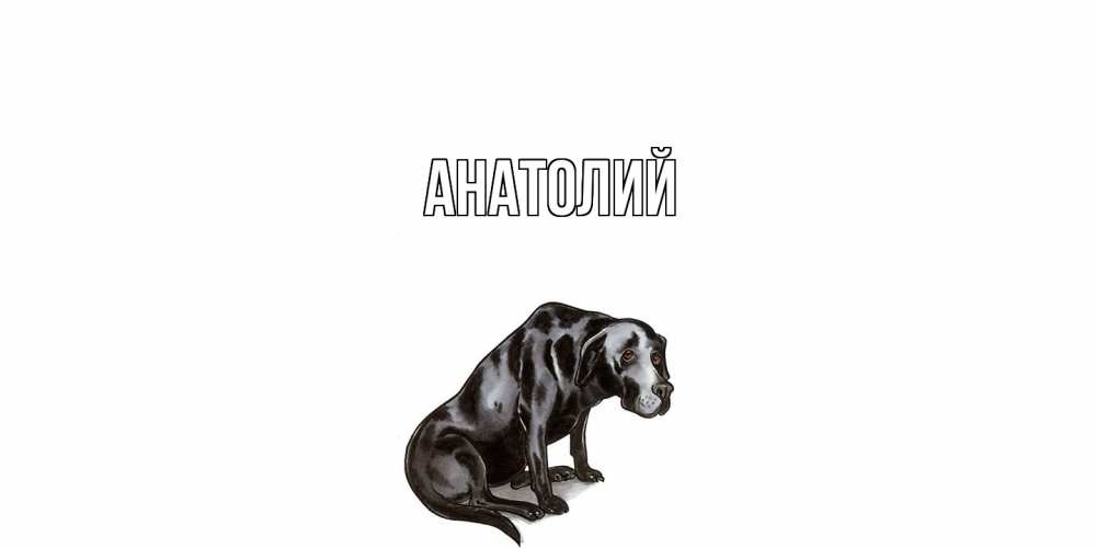 Открытка  с именем. Анатолий, Главная  