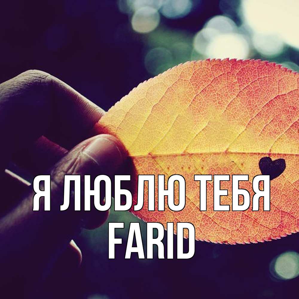 Открытка  с именем. Farid, Я люблю тебя  