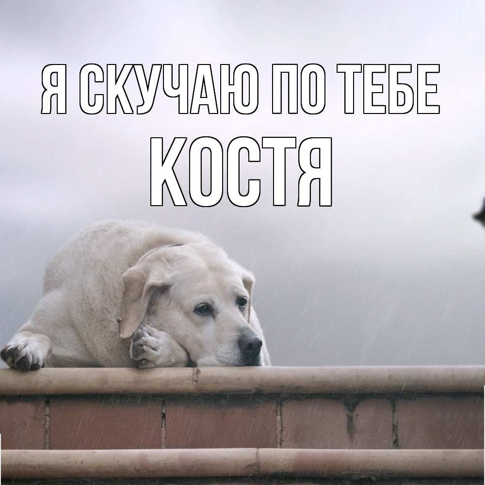 Открытка  с именем. Костя, Я скучаю по тебе  
