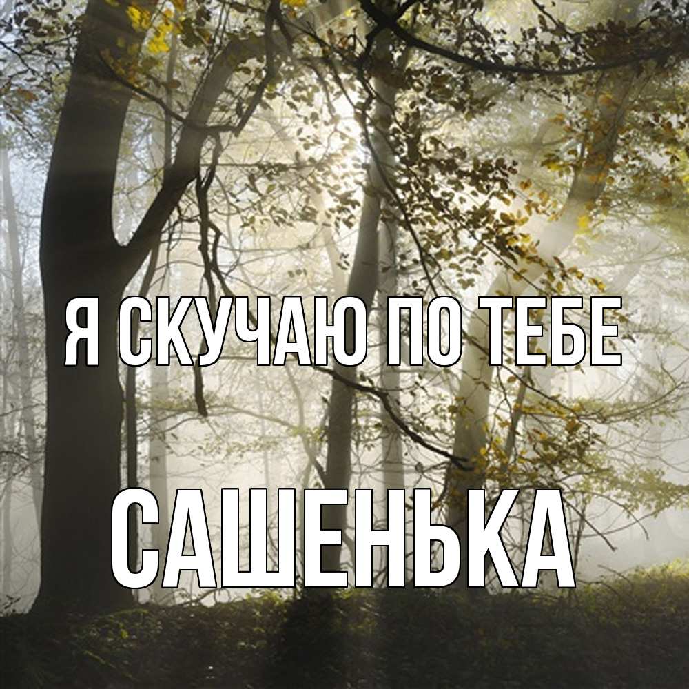 Открытка  с именем. Сашенька, Я скучаю по тебе  