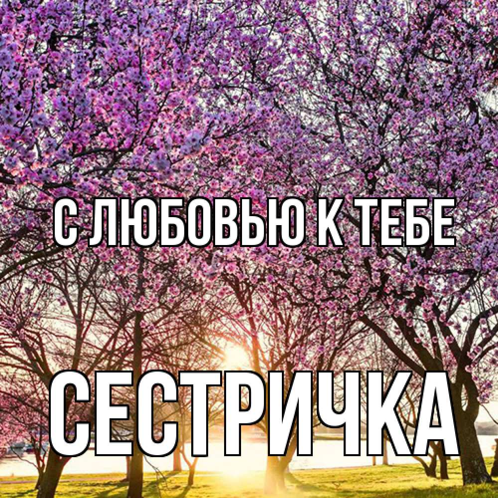 Открытка  с именем. Сестричка, С любовью к тебе  