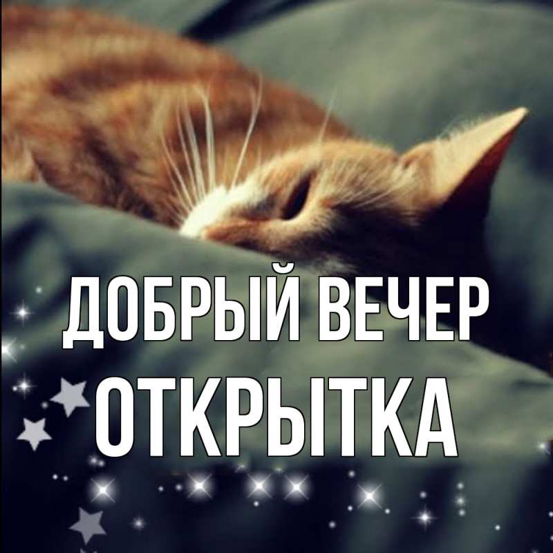 Картинка Добрый вечер, открытка