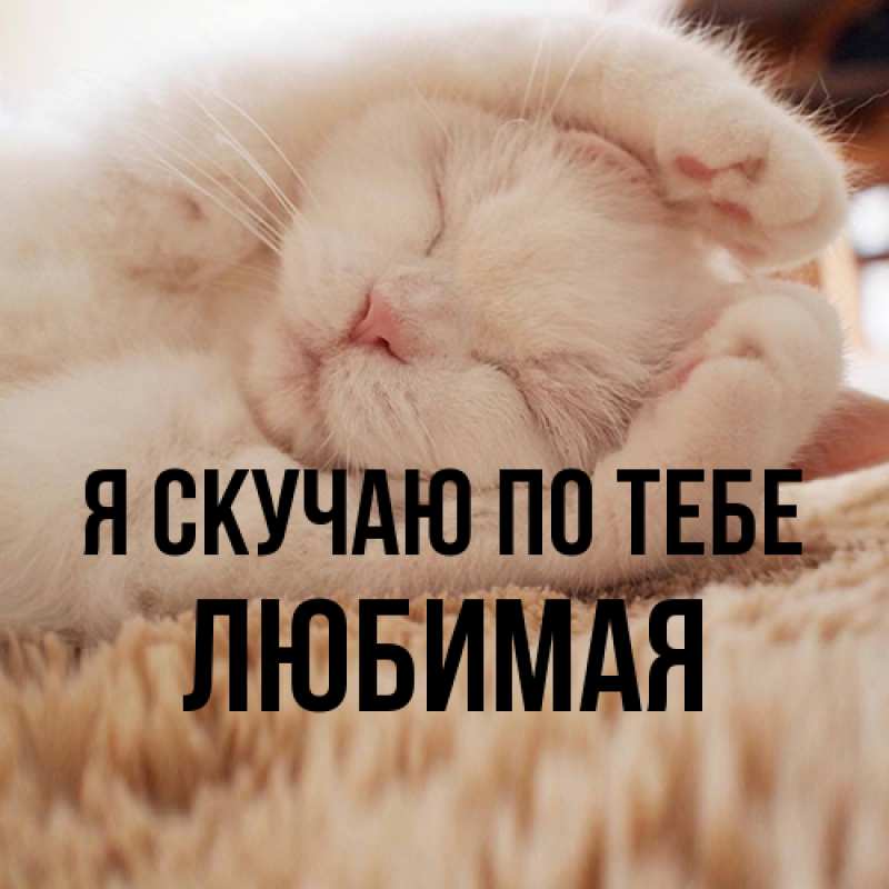Картинка Я скучаю по тебе, Любимая
