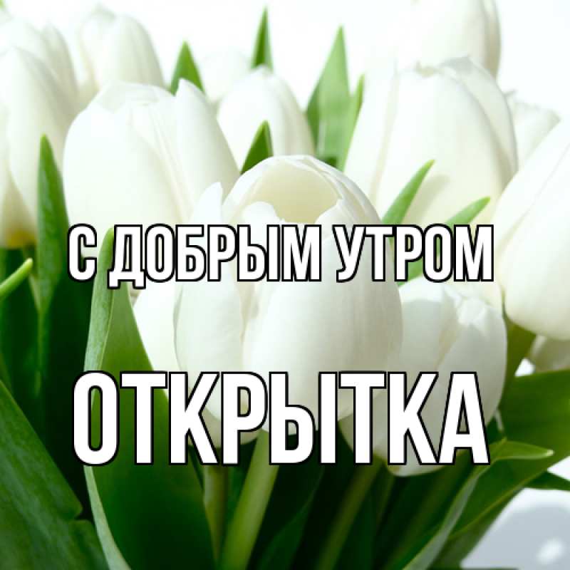 Картинка С добрым утром, открытка
