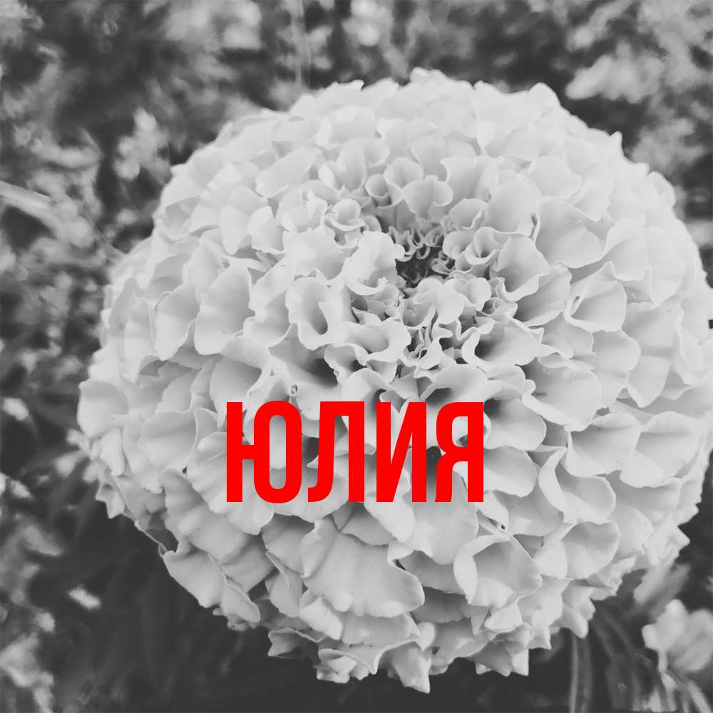 Открытка  с именем. Юлия, Главная  