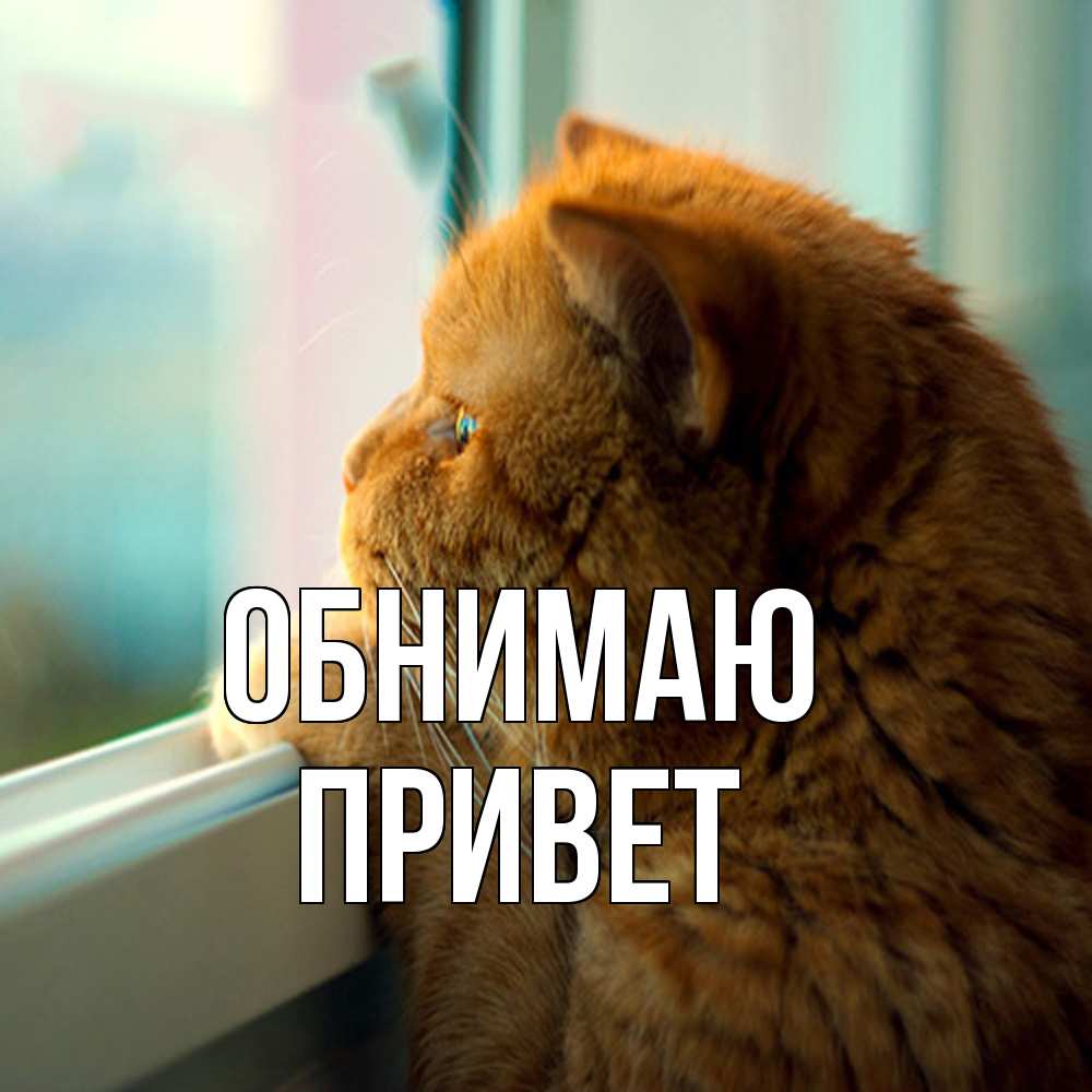 Открытка  с именем. Привет, Обнимаю  