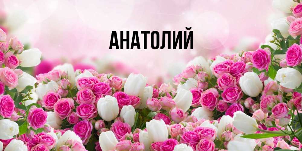 Открытка  с именем. Анатолий, Главная  