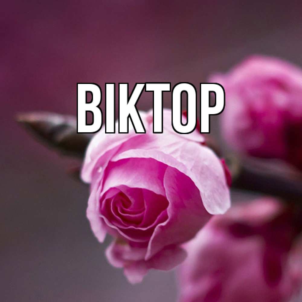 Открытка  с именем. Віктор, Главная  