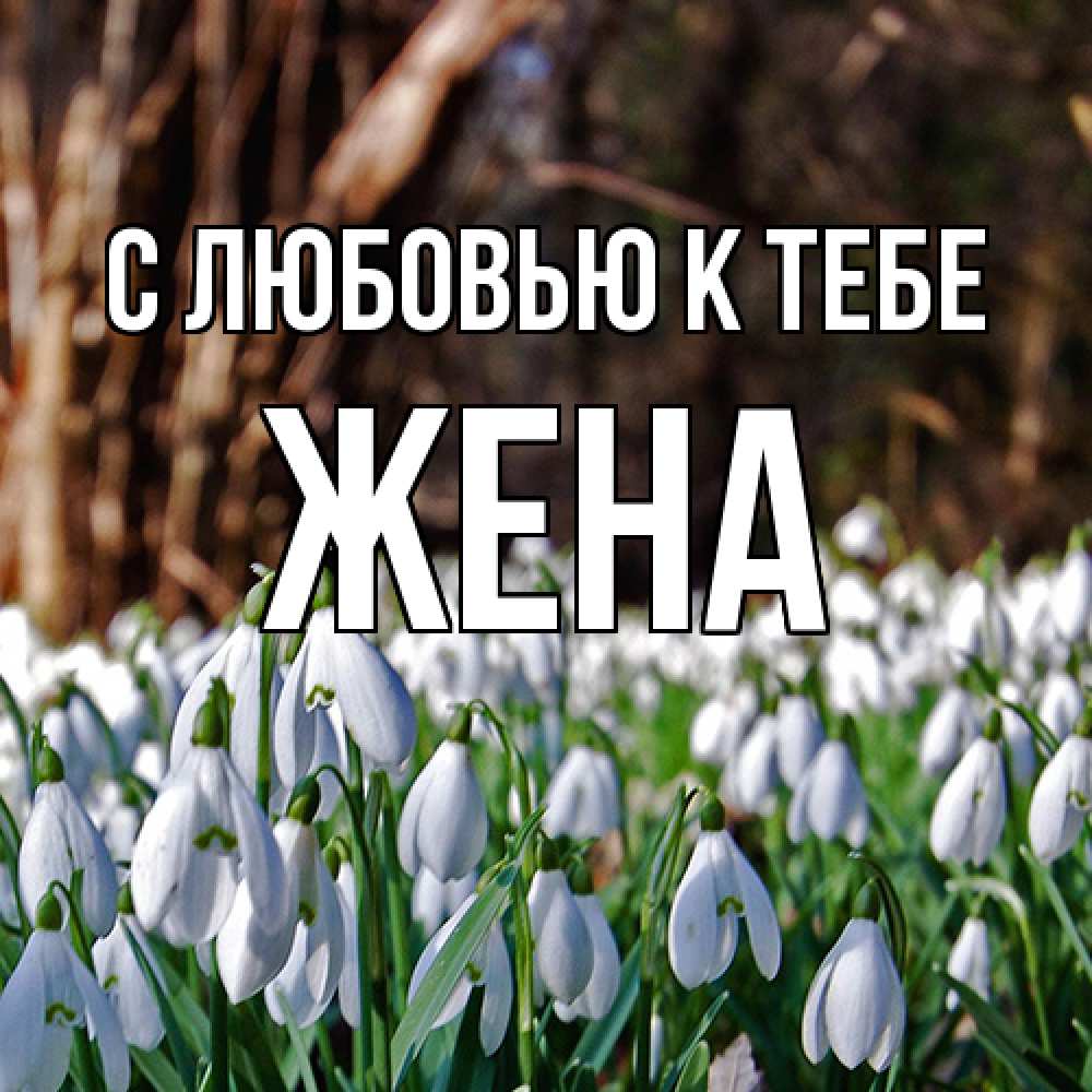 Открытка  с именем. Жена, С любовью к тебе  