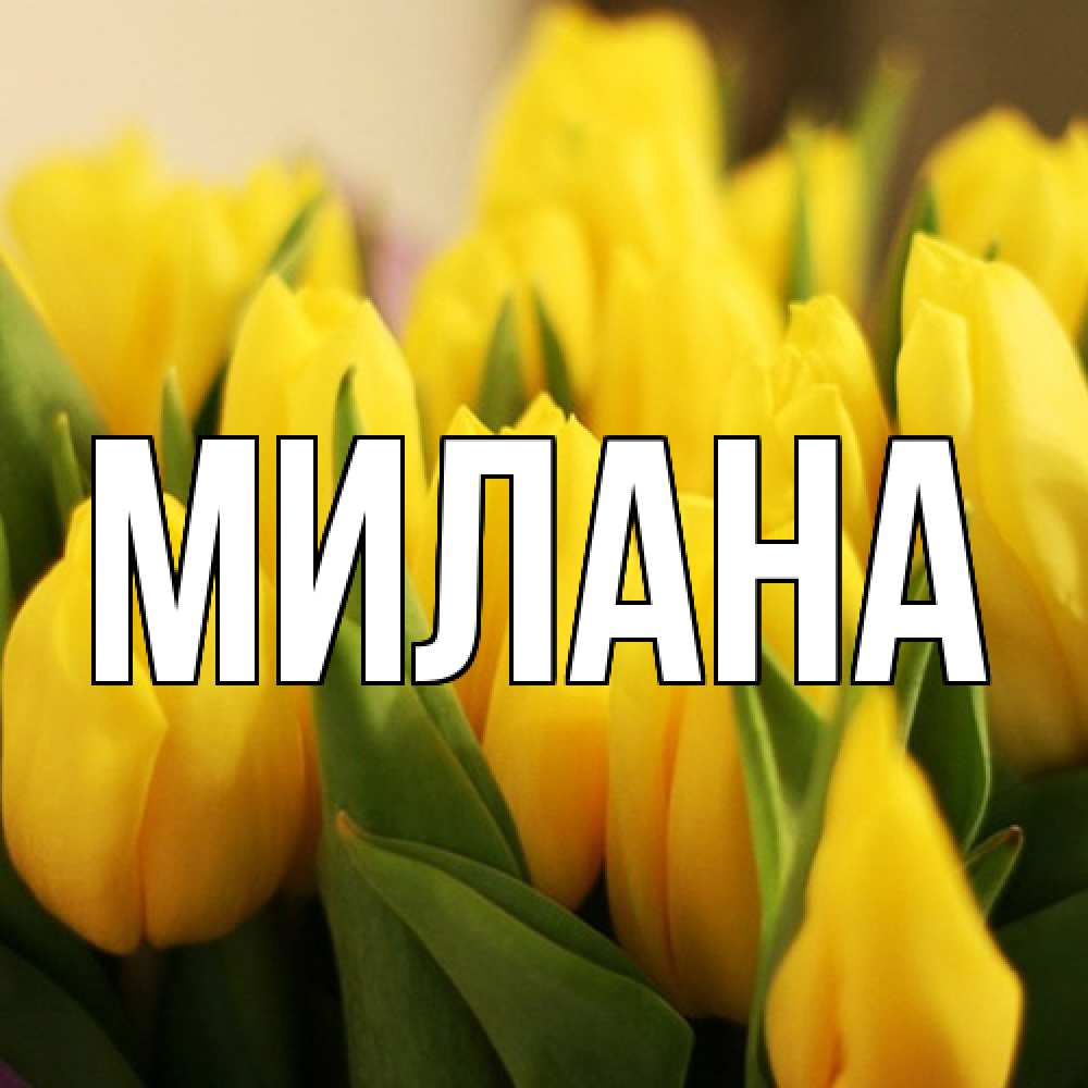 Открытка  с именем. Милана, Главная  