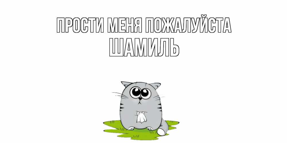 Открытка  с именем. Шамиль, Прости меня пожалуйста  