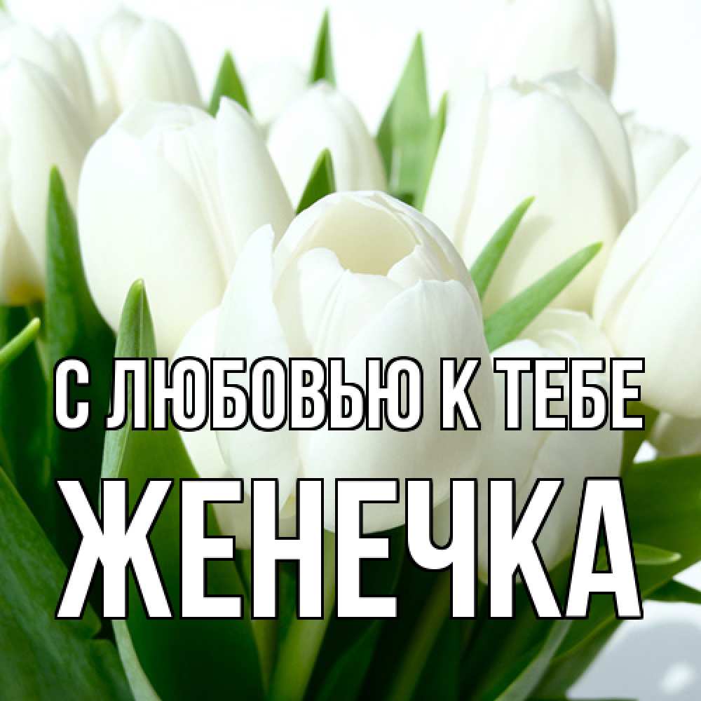 Открытка  с именем. Женечка, С любовью к тебе  