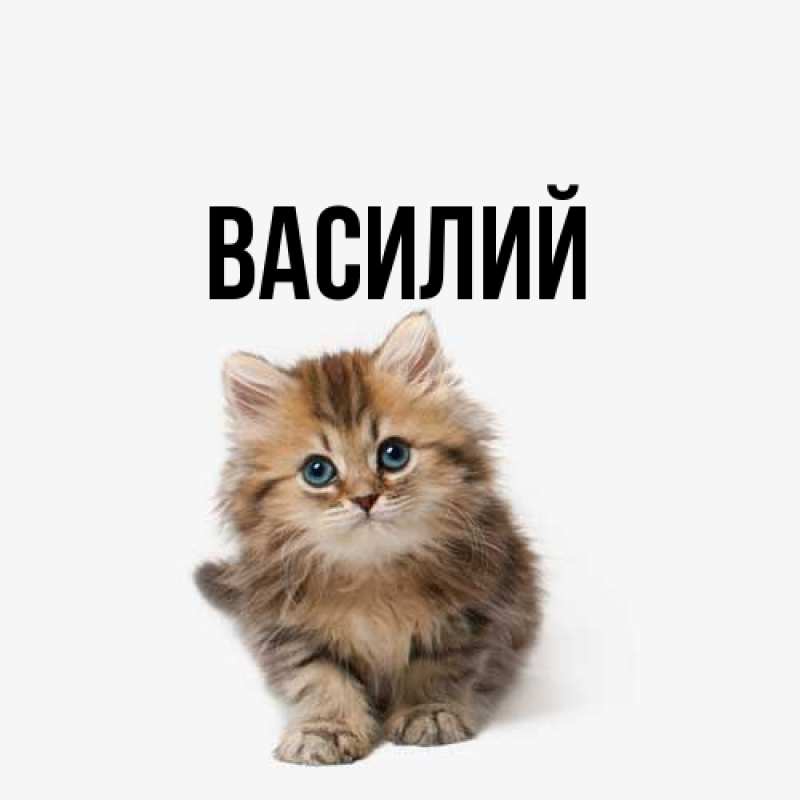 Картинка  с именем , Василий