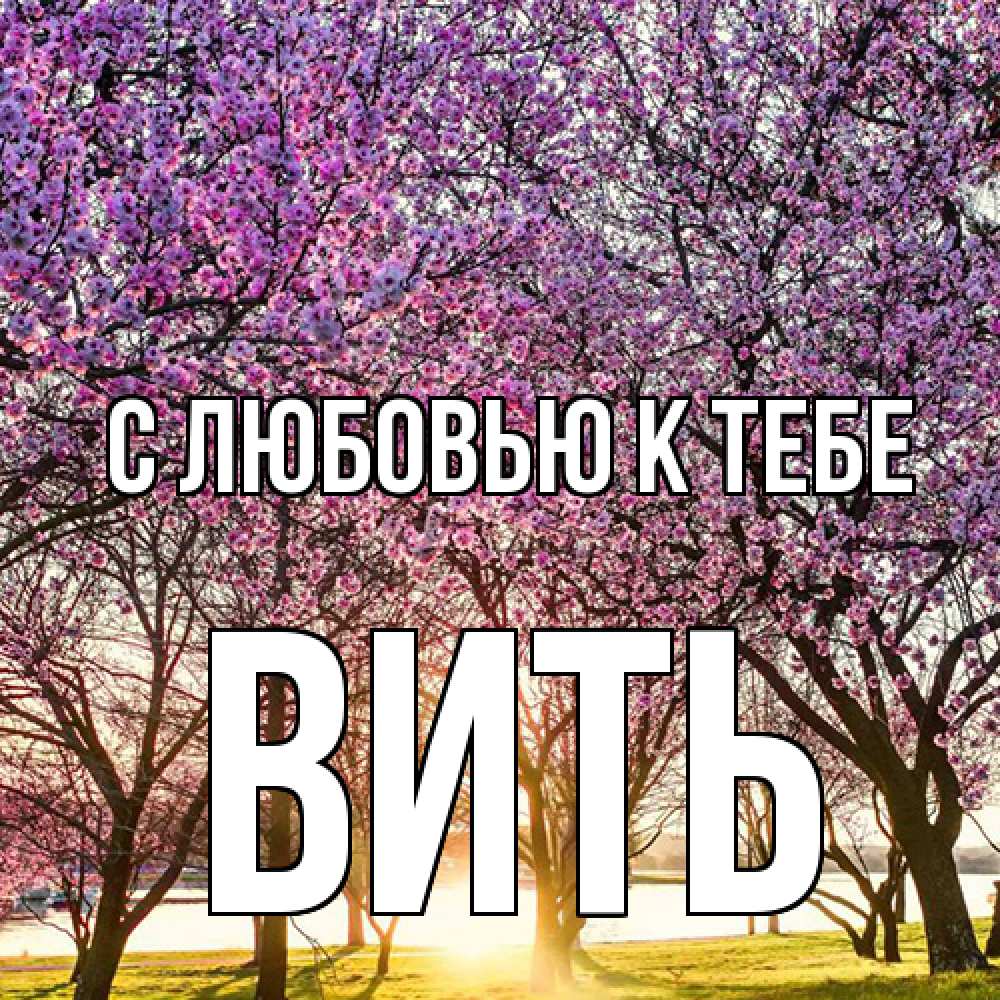 Открытка  с именем. Вить, С любовью к тебе  