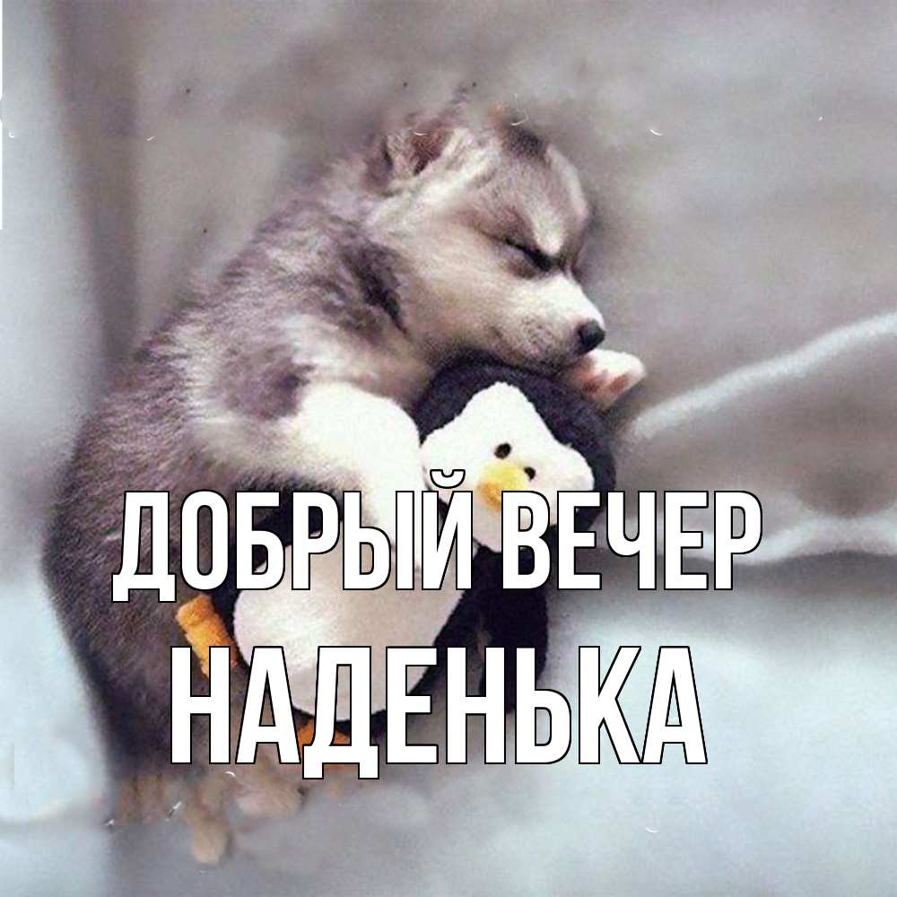 Открытка  с именем. Наденька, Добрый вечер  