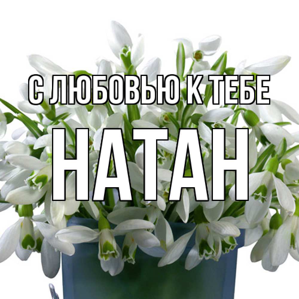 Открытка  с именем. Натан, С любовью к тебе  
