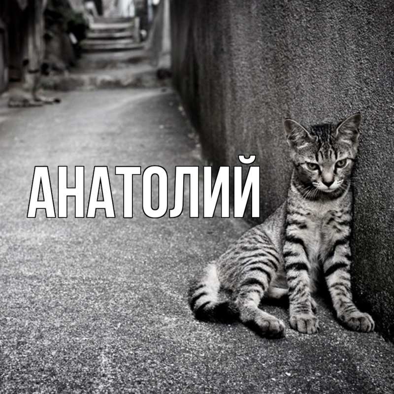 Картинка  с именем , Анатолий