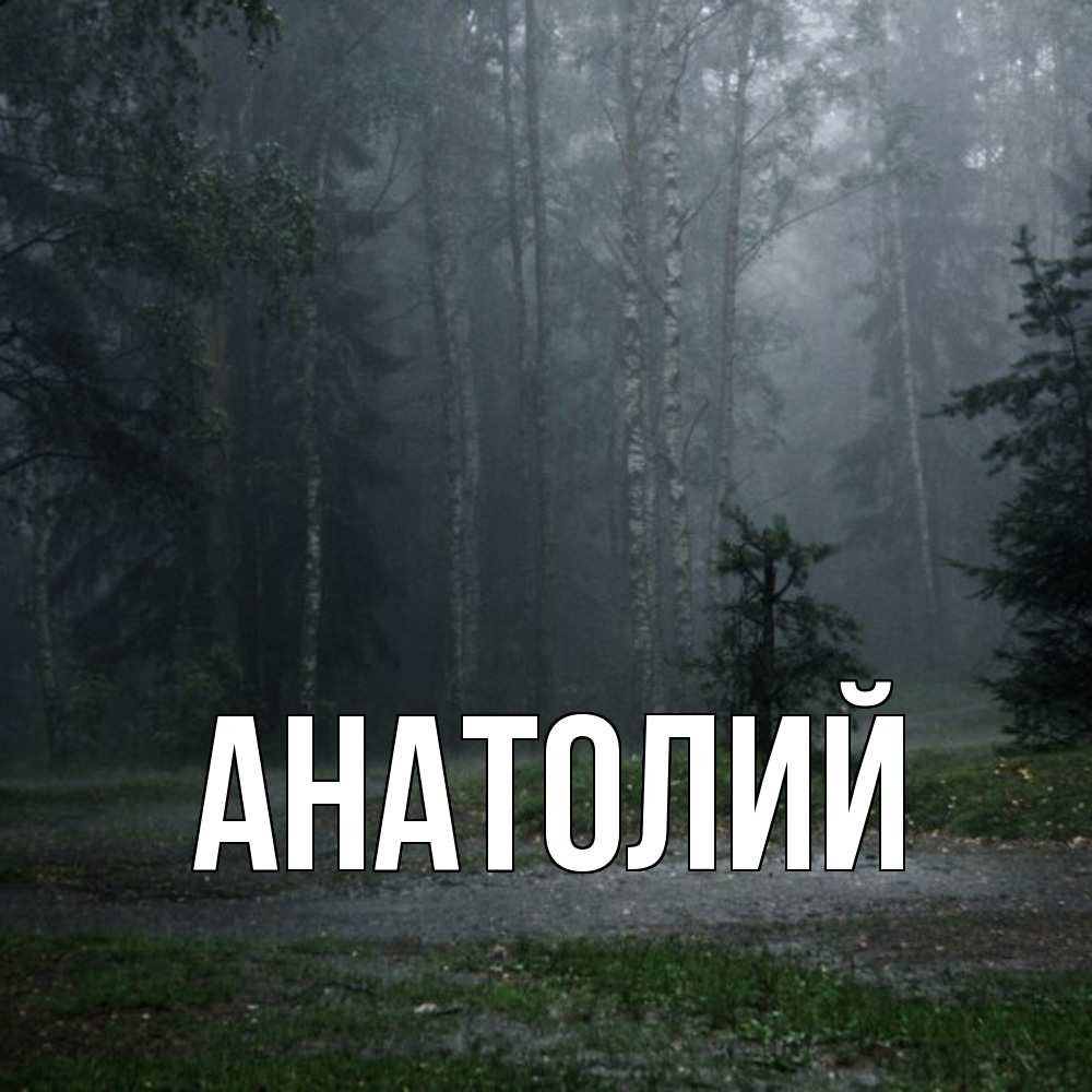 Открытка  с именем. Анатолий, Главная  