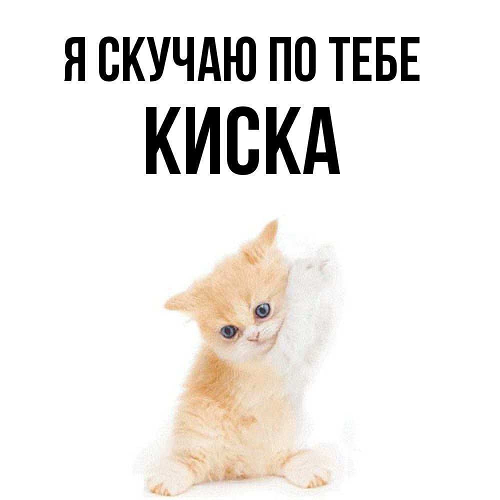 Открытка  с именем. Киска, Я скучаю по тебе  
