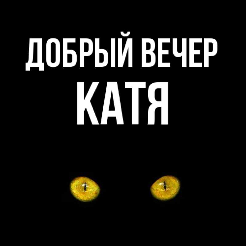 Картинка Добрый вечер, Катя
