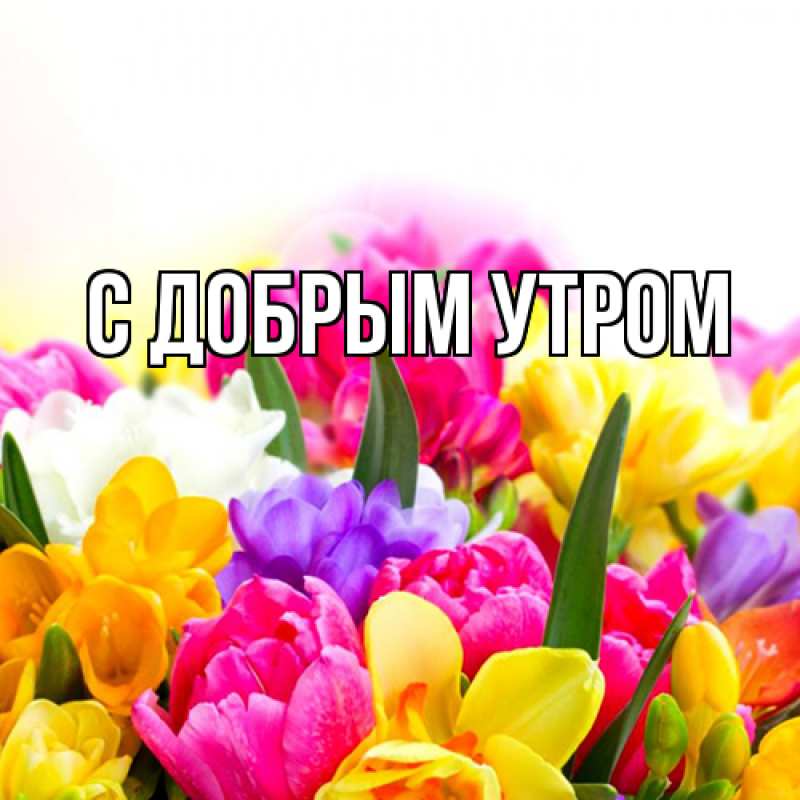 Картинка С добрым утром, 