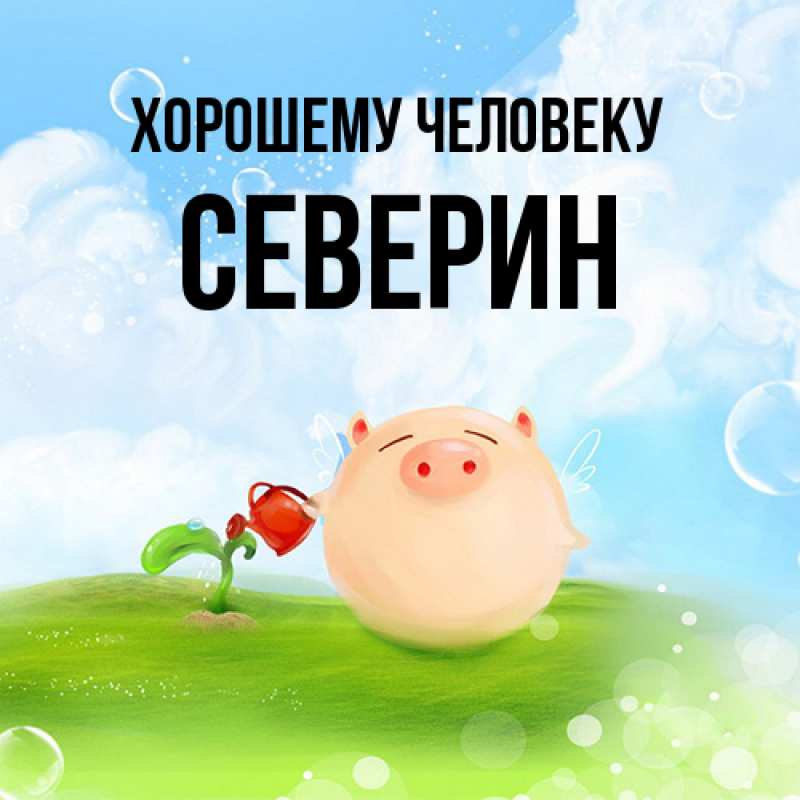 Картинка Хорошему человеку, Северин