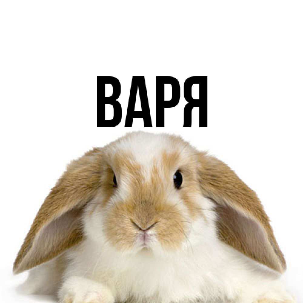 Открытка  с именем. варя, Главная  