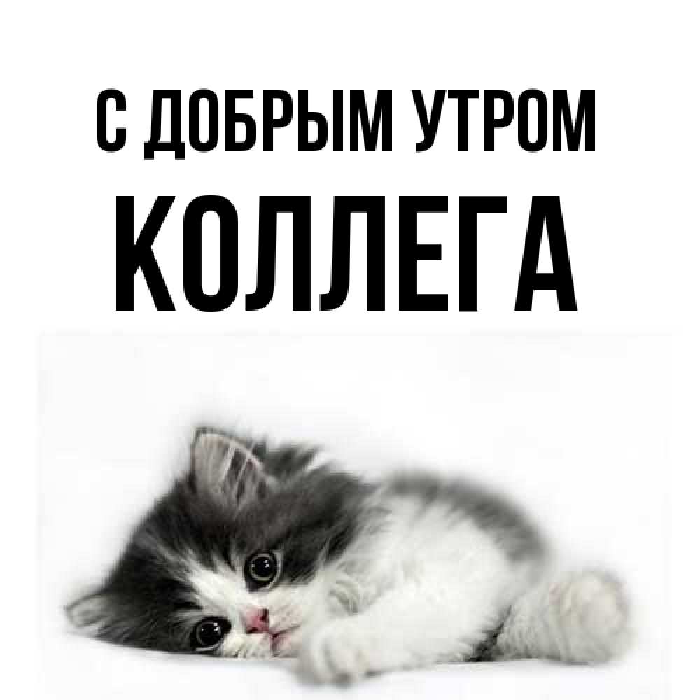 Открытка  с именем. коллега, С добрым утром  