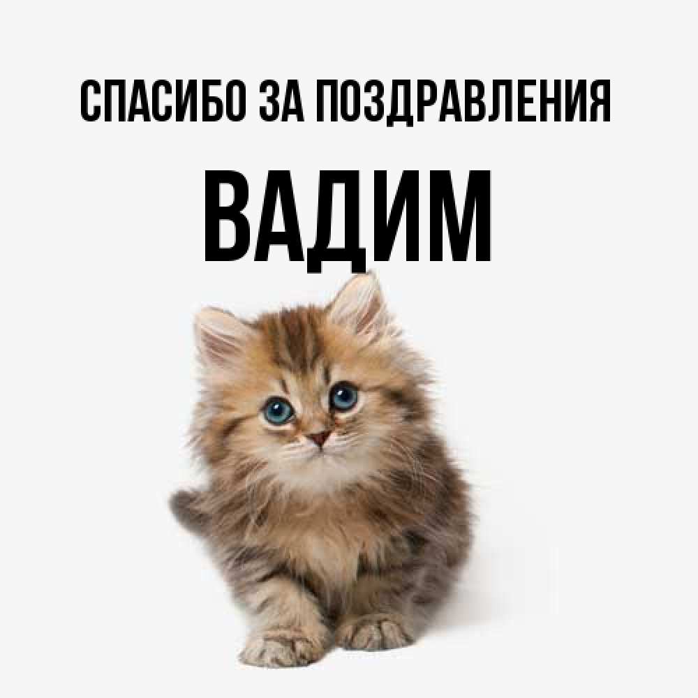 Открытка  с именем. Вадим, Спасибо за поздравления  