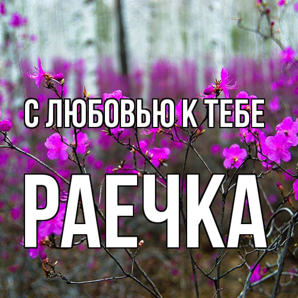Открытка  с именем. Раечка, С любовью к тебе  