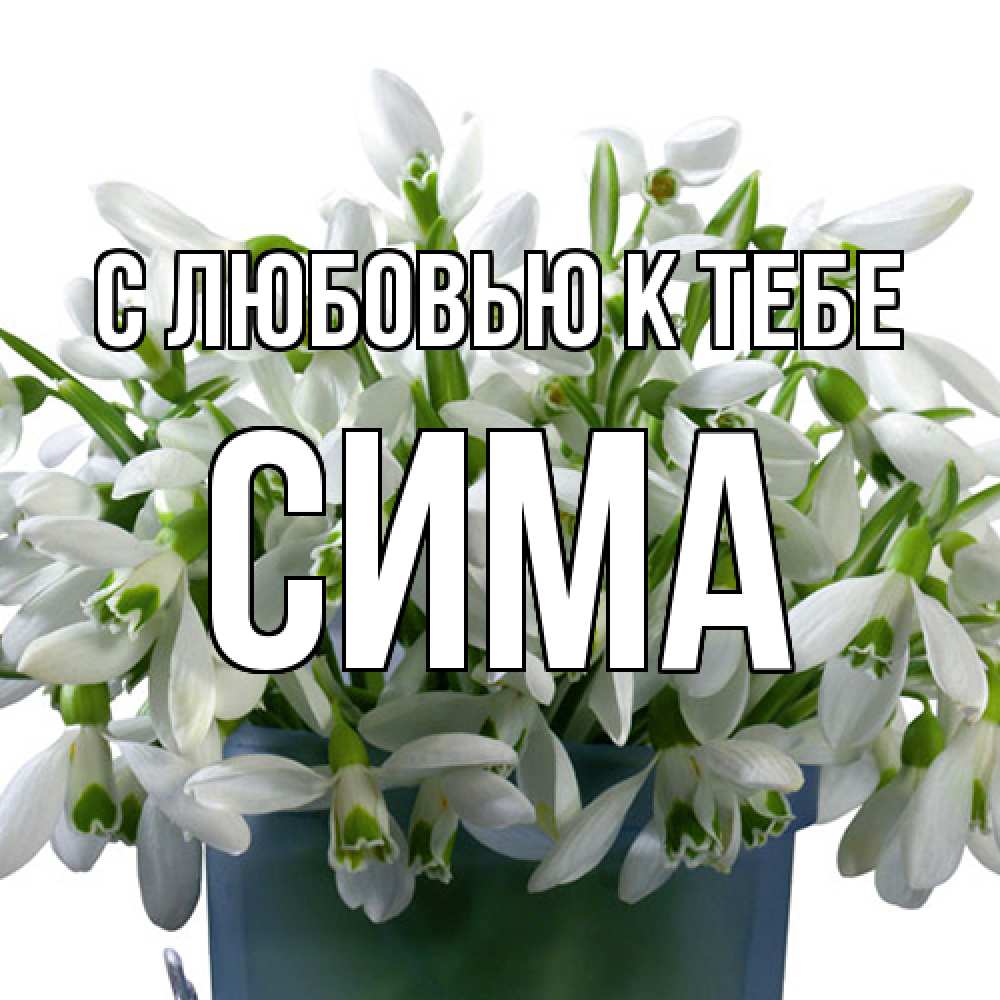 Открытка  с именем. Сима, С любовью к тебе  