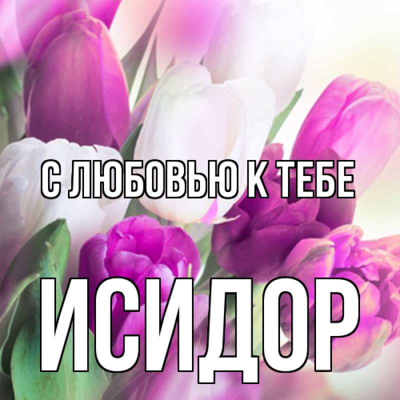 Картинка С любовью к тебе, Исидор