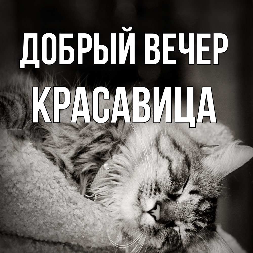 Открытка  с именем. Красавица, Добрый вечер  