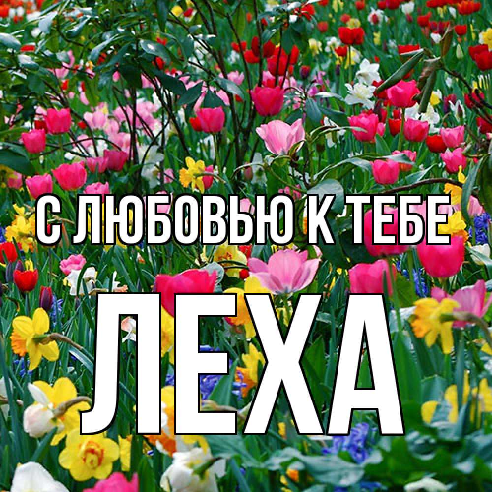 Открытка  с именем. Леха, С любовью к тебе  