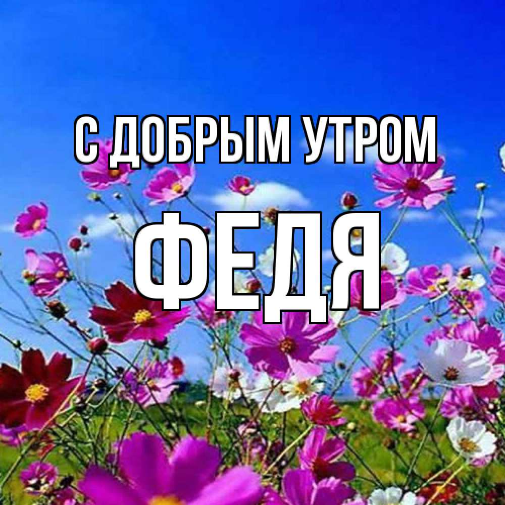 Открытка  с именем. Федя, С добрым утром  