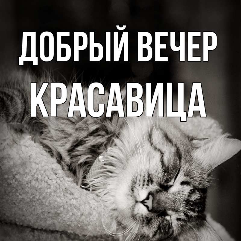 Картинка Добрый вечер, Красавица
