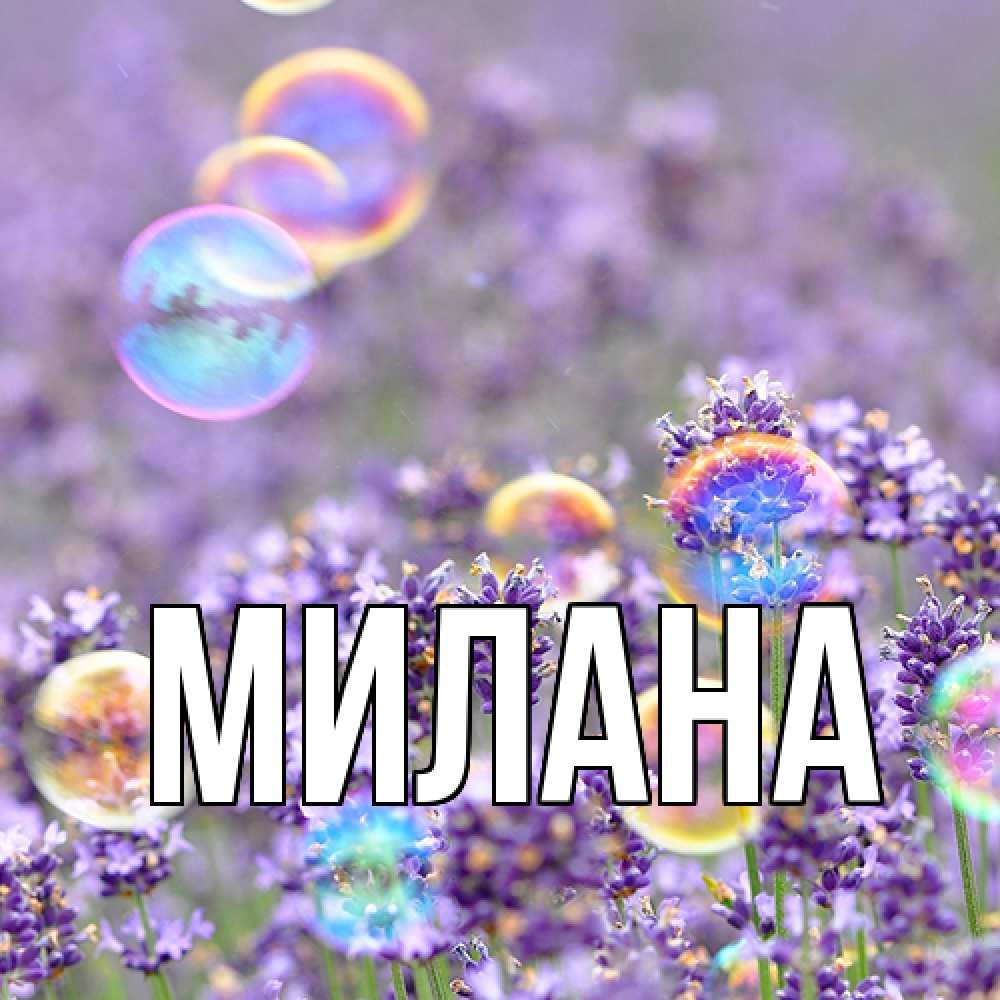 Открытка  с именем. Милана, Главная  