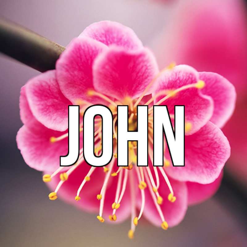 Картинка  с именем , John