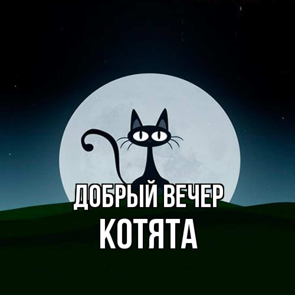 Открытка  с именем. Котята, Добрый вечер  